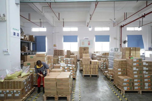 家門口的機遇 賓陽電子廠招工，提供食宿，探索互聯網銷售新方向